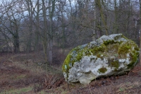 &bdquo;Diabelski kamień&rdquo;