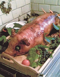 Prosiak Stefanek dziadka Michała ze Stefan&oacute;wka